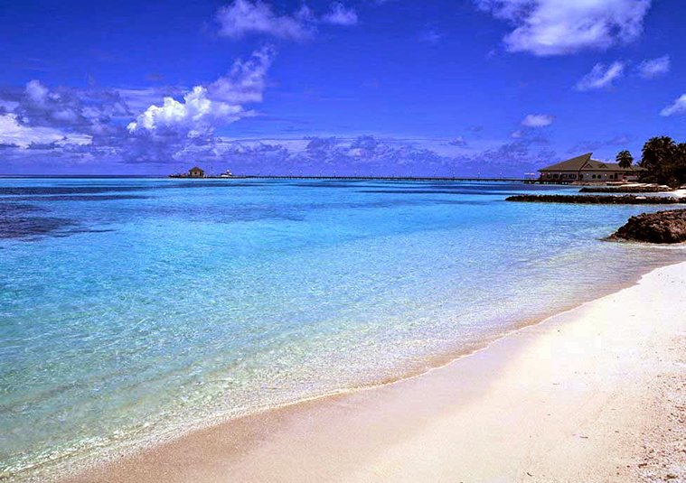 Canaco Mérida anuncia limpieza de playa en Chelem y Plogging en el parque arqueológico del Poniente