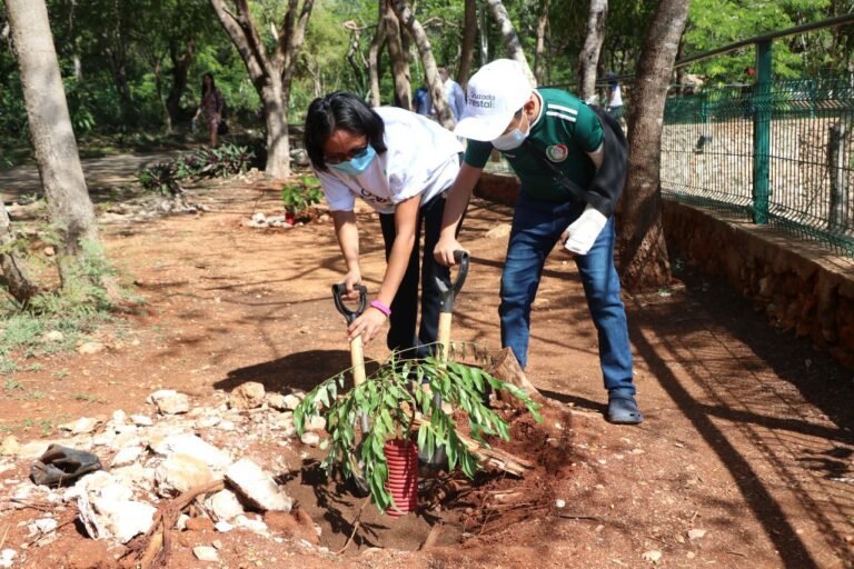 Arranca Novena Cruzada Forestal en la capital yucateca; van por 15 mil árboles