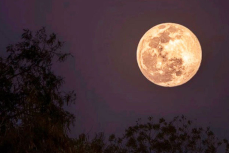 Superluna de Ciervo: ¿Cuándo se podrá ver en Quintana Roo y por qué se llama así?