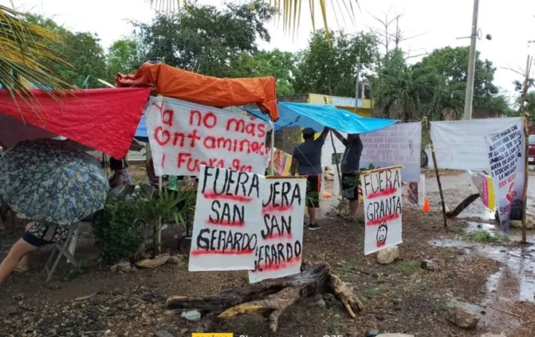 Jueza federal ordena suspensión de la granja porcícola de Santa María Chi