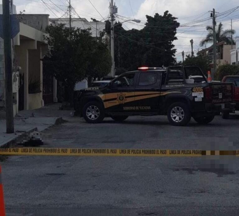 Macabro Descubrimiento en Residencial Pensiones: Perro Hallado sin Vida y Herido en Calles Mérida