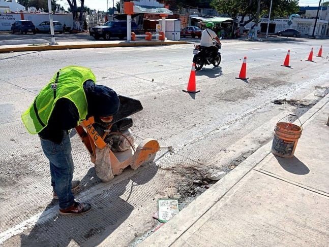 “Yucatán y Campeche entre los Estados con Mayor Ocupación Laboral: Datos de la ENOE”