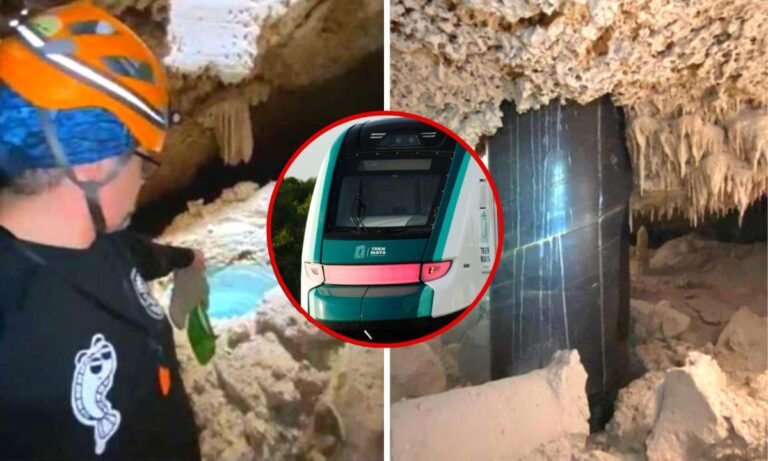“Ecologistas Acusan a AMLO de Mentir: El Tren Maya Causa Graves Daños Ambientales en la Península de Yucatán”