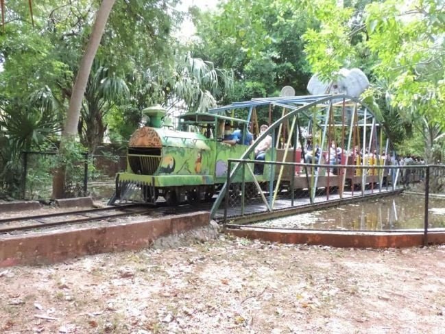 Se descarrila el tren del centenario. Hay personas lesionadas
