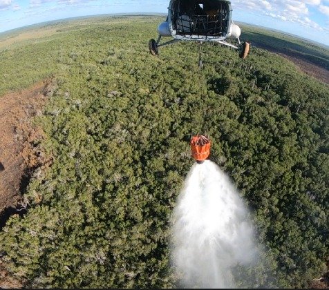 Semar sofoca incendio en la Reserva Ecológica de Dzilam de Bravo