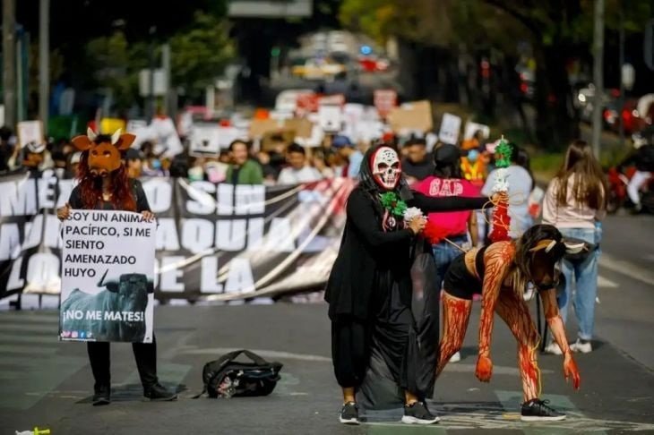 Magistrados Unánimes Permiten Continuar Corridas Taurinas en Plaza de Toros México