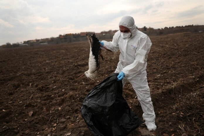 598447668_1522011445948853_4779557068327021601_n