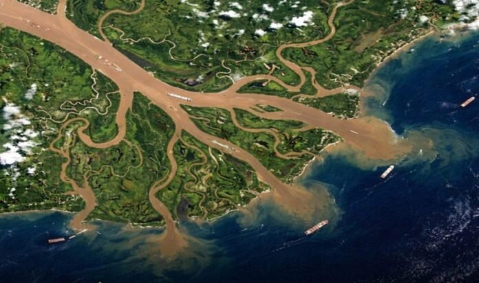 amazonas