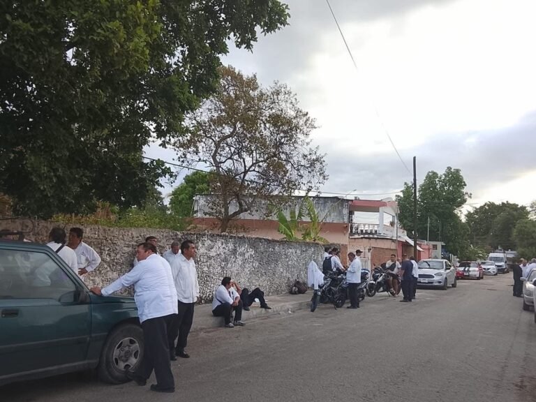 Paro de operadores paraliza Circuito Metropolitano y deja a miles de usuarios sin transporte; empresa busca acuerdo urgente