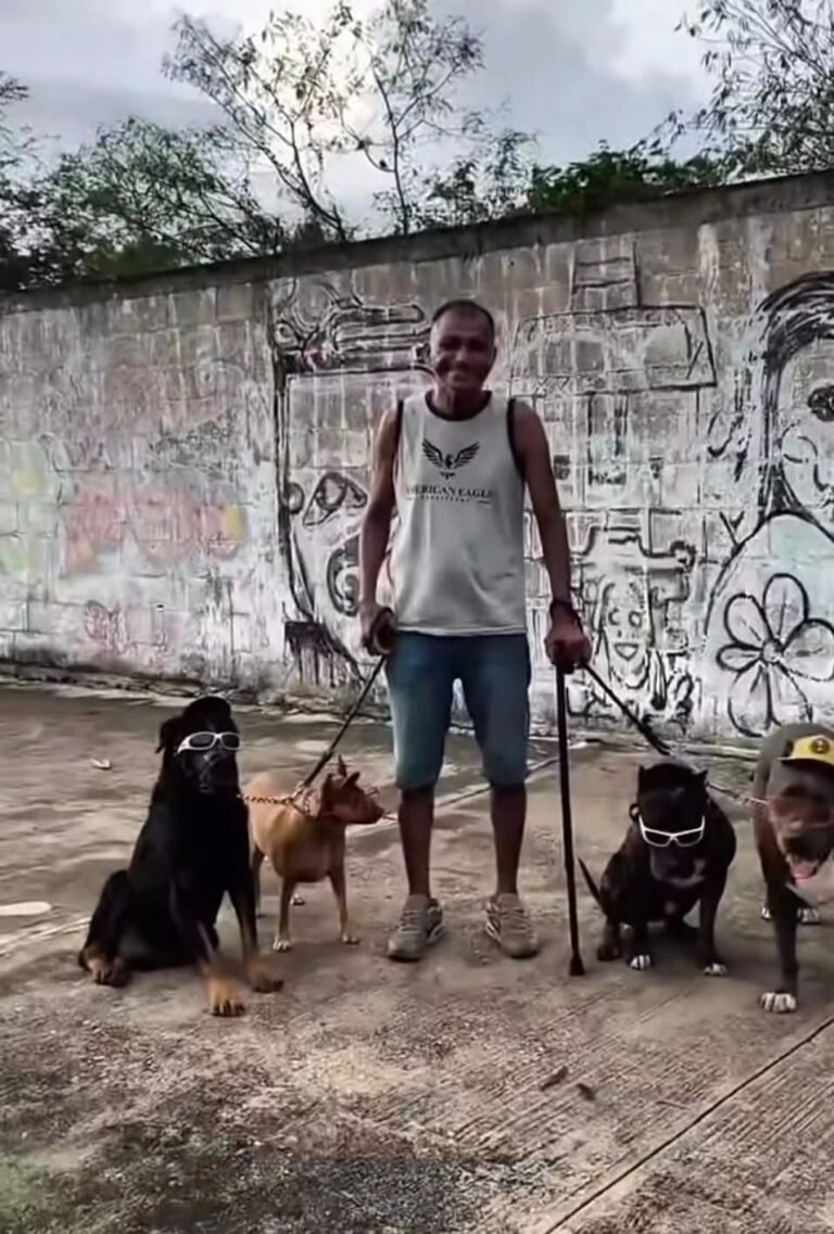 Zeus regresa a casa tras caso viral; dueño de “Jordan” pediría indemnización millonaria