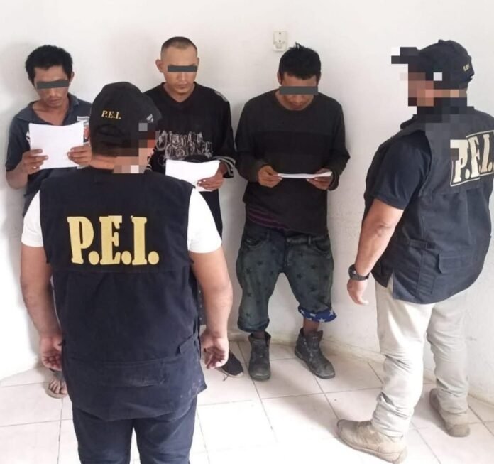 poliii
