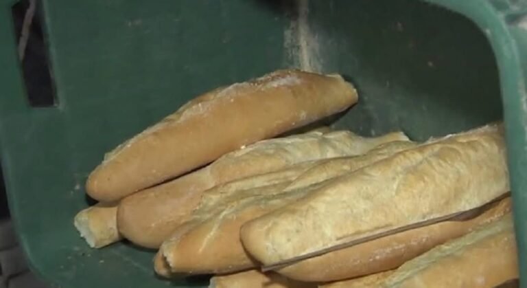 Panaderías de Yucatán ajustarán precios por incremento en el costo de la harina