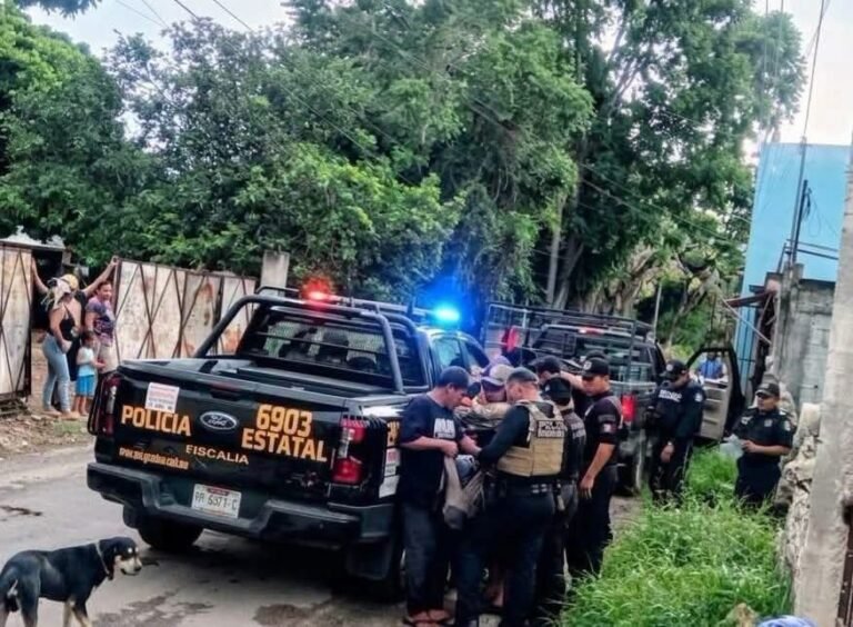 Aseguran más de 10 escopetas y carne de venado y jabalí durante operativo en Ticul