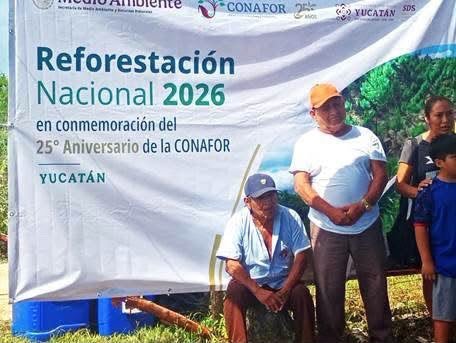 Reforestan dos hectáreas en Timucuy con 400 árboles nativos para fortalecer los ecosistemas de Yucatán